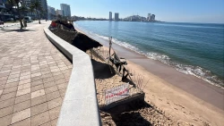 Se han clausurado dos construcciones de palapas por no cumplir con lo estipulado en las concesiones