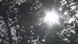 Temperaturas seguirán bajando en Culiacán