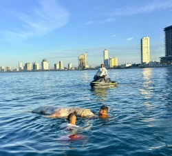 Se registra el avistamiento de lobo marino sin vida en playas de Mazatlán
