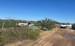 “El Chito”, a prisión preventiva por atacar a agentes AMIC en Sonora