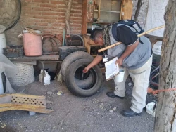 Secretaría de Salud refuerza prevención del dengue en Sonora