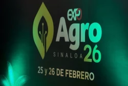Impulsa Rocha Moya la expoagro Sinaloa 2026