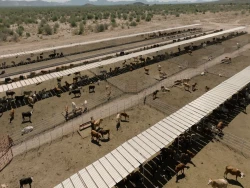 Durazo logra alianza con la UGRS e impulsa más de 800 mdp para modernización ganadera