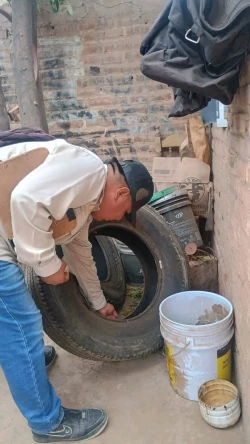 Llama Salud Sonora a reforzar medidas contra el dengue por lluvias recientes
