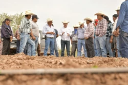 Campo sonorense repunta con crecimiento del 18% en actividad primaria