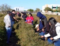 Impulsa Gobierno de Sonora innovación agrícola desde la UTEtchojoa con cultivo de chiltepín