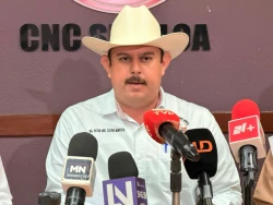 Afectaciones climáticas dañan 13 mil 500 hectáreas de maíz en Sinaloa