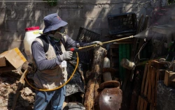 Sonora entra en fase de descenso por dengue y reduce casos a solo tres en una semana