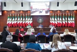 Sinaloa tendrá licencia permanente