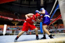 Pugilistas sonorenses inician camino por cinturones de la Olimpiada Estatal