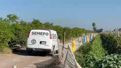Encuentran asesinado a hombre en sembradío de tomate en Villa Juárez, Navolato