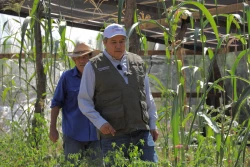 Más de 30 millones de pesos llegarán a Sonora con Sembrando Vida