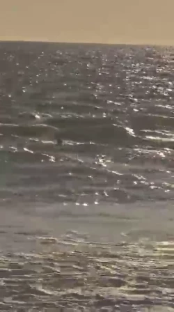 Rescatan de morir ahogado a hombre en Mar de las Cabras, Escuinapa