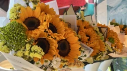 Mercado de Las Flores en Mazatlán se "pinta” de amarillo