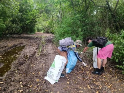 42 toneladas de basura se ha retirado en limpiezas en manglares de Mazatlán