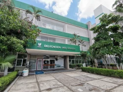 Garantiza el IMSS en Sinaloa servicios médicos 2 y3 de abril
