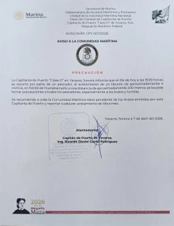 Alertan por avistamiento de tiburón en Huatabampito