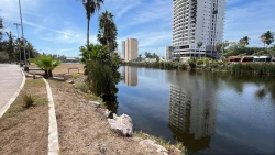 Puente sobre laguna del camarón en Parque Central aún se encuentra en estudio para su posible realización