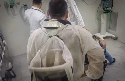 ¿Ves abejas? Llama al 911: Actúa Protección Civil como respondiente 