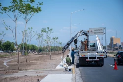 Avanzan trabajos de mejoramiento de áreas verdes en el Eje Federalismo