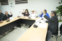 En Comisión, diputadas y diputados aprueban dictamen para garantizar gratuidad de pruebas de ADN en Sinaloa