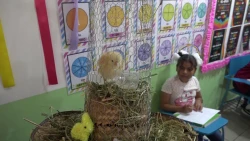Desde una diadema con ojos hasta una granja con pollito de verdad, así fueron los peinados y sombreros locos del día del niño en Mazatlán