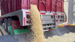 Llama líder de la COUC agilizar apoyos a productores para dar certidumbre al campo
