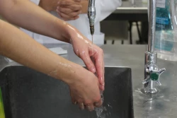 El 85% de las enfermedades se pueden prevenir