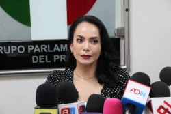 Falta de preparación de Mario Delgado proponer recorte del ciclo escolar: Irma Moreno