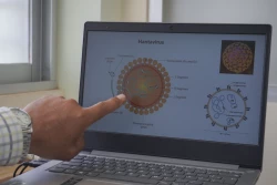Ante brotes internacionales de hantavirus se recomienda extremar medidas de higiene