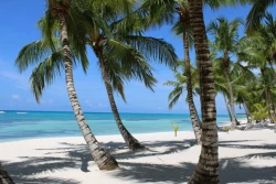 Guía completa sobre qué visitar en Punta Cana para tu próximo viaje