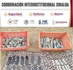 Aseguran 120 explosivos en Escuinapa