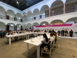 15 niñas y niños de primaria representa el Cabildo Infantil