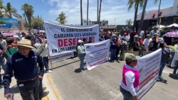 Se manifiestan acuacultores para frenar importación de Camarón
