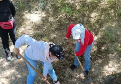 Colectivos de búsqueda de Mazatlán realizarán boteo