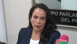 Hay respaldo del PRI para Paola Gárate: Irma Moreno