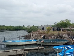 Estructura torácica encontrada en marismas de Mazatlán corresponden a un cerdo 