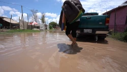Daños por la Tormenta 19-E los de mayor costo