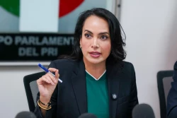 Mientras la crisis de seguridad, políticos de Morena preparándose a elecciones: Irma Moreno