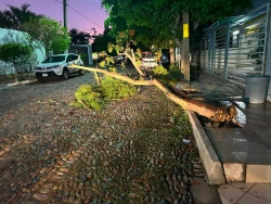 Vientos dejan 10 emergencias en Culiacán