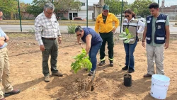 Celebran el día nacional del árbol con arborización en Mazatlán