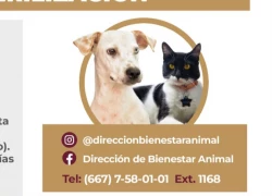 Invitan a campaña gratuita de esterilización
