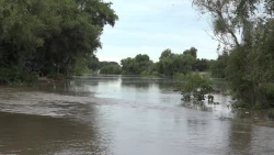 ¿Vas a ir a un río en estas vacaciones?
