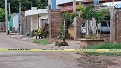 Balean casa en la colonia Nuevo Milenio de Mazatlán