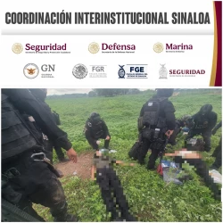 Un detenido y dos fallecidos vinculados con "El 20" en operativo de San Francisquito