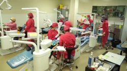 El 85% de la niñez padece caries temprana