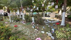 Colectivo de búsqueda crea "Árbol de la Memoria" en la Plazuela República