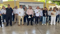 Hay 11 casos activos de dengue en Mazatlán
