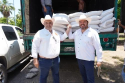 Entregan semilla de sorgo gavatero a ganaderos de Mazatlán