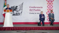 La coordinación de Morena se define por encuestas